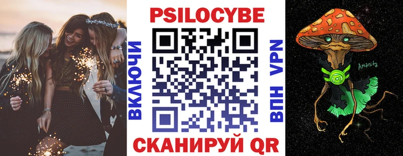 Псилоцибиновые грибы мухоморы  купить наркотики сайты  Шенкурск 