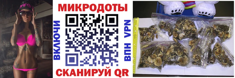 Псилоцибиновые грибы ЛСД Шенкурск