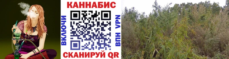 МАРИХУАНА тримм  Шенкурск 